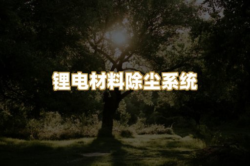 锂电材料除尘系统
