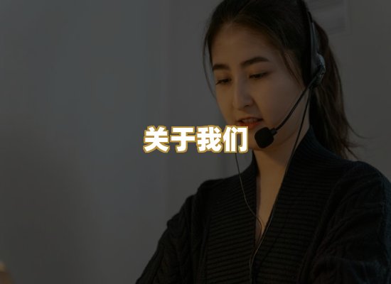 关于我们
